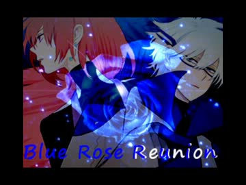 【比較】Blue Rose Reunion　改良版？【青薔薇＋reunion】