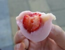 もやしもんの人が写真ぶらり旅「三重県桑名市3 商店街＆食事」編