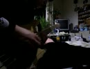 Beautiful Circus (bass cover)