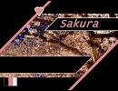 Sakura
