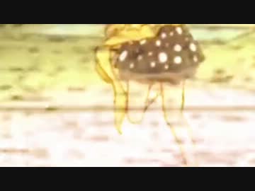 she.mp4