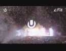 Swedish House Mafia UMF 2013 part.7