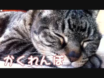かくれんぼ