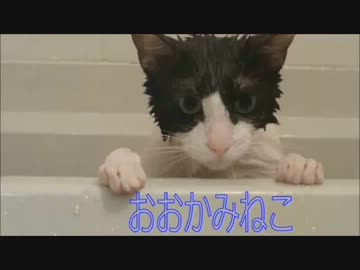 猫「おおかみがきたぞぉぉぉぉ」