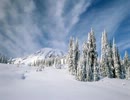 【NNI】Snowball War【ゲーム音楽】