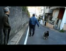 近所が火事になった