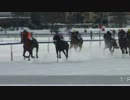 【世界の競馬場から】2013年サンモリッツ大賞　ロシアンタンゴ