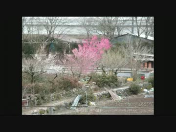 田舎の春の音