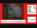 SIREN ランキング2013　【後半】　