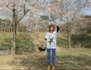 【えぽ】　千本桜　【踊ってみた】