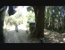 岡崎の林道に行ってきました