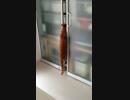猫は登る