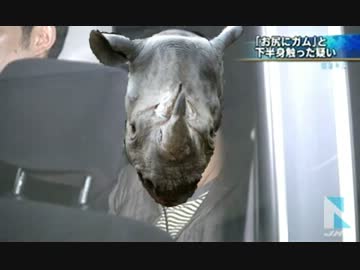 動くな、俺はサイだ