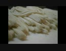 【主食を作る】～part3～手打ち中華麺