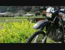 【バイク車載】千葉県いすみ鉄道　春満喫の旅