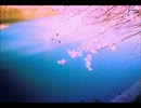 さくらさくら (Cover)