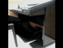 【ｴﾚｸﾄｰﾝ】情熱大陸