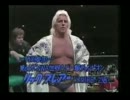 85ワールド・チャンピオン・カーニバル参加選手