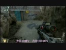 【CoD:BO2】縛り実況part8【凸砂縛り】