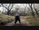 【頭の中】千本桜を踊ってみた【お花畑】