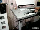 【ereppia】紅一葉【弾いてみた】