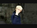 【APヘタリアMMD】芋兄弟でLove letter