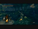 勢いにまかせて「DARK SOULS」をやってみた！！【実況】 part63
