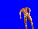 ケツ掻きBB