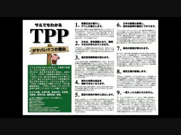 【よしふる】TPP反対チラシ with What A Wonderful World