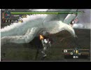 MHP2ガンランスで祖龍に行ってきた。　２／２