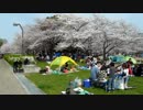 20130330_145154.m2ts