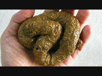 如月千早の暇つぶし　その１５００【うんこ風呂】