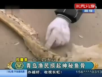 【すごい】中国の海で『スケルトンな龍』が捕獲され話題に
