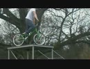 Camperdown Park Stunt Cyclists