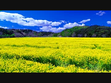 アイドルマスター２　お花畑
