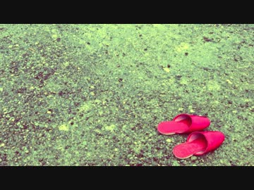 【オリジナル曲】Gorecki【エレクトロニカ】