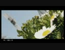 【TAKAタカ】春に一番近い街を歌ってみた
