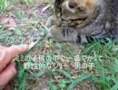 順番に