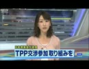 「将来見据えて・・・」日本貿易会がTPP交渉参加要望