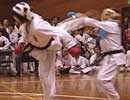 上地流空手道第15回東京大会 組手 一般男子有段の部 決勝戦
