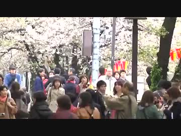 【intお花畑】電波ラン１：１６年間の大フィナーレが始まる！【開幕】