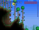 【Terraria】 ロード・オブ・テラリア　冒険14 【2人実況】