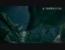 ハベルさんの　ロードラン巡礼の旅　（アノロン　白サインイベント編）