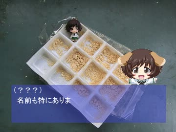 人生途中下車の旅１　～旅は道連れ～　岡山県→香川県