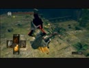 勢いにまかせて「DARK SOULS」をやってみた！！【実況】 part66