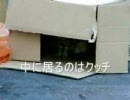 ダンボール箱で