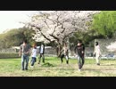 【愛媛】桜の木の下で千本桜を踊るオフ