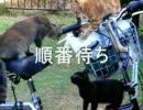 仲良し３人組