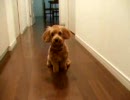 龍ノ介【２】