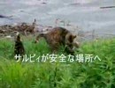 スクープ